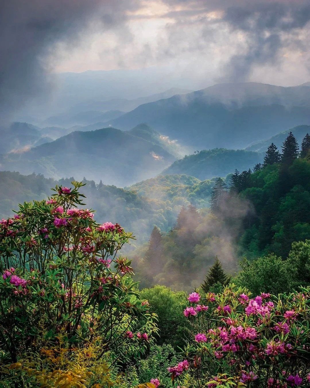Views along Spring & Fall in the Great Smoky Mountains