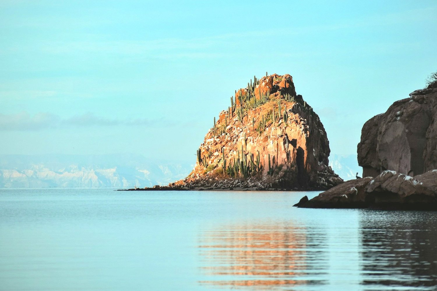 Views along Pacific Vistas